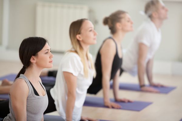Group of young sporty people practicing yoga lesson